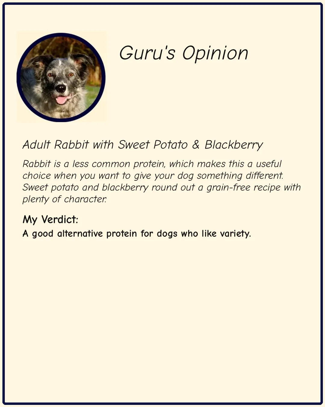 adult rabbit with sweet potato blackberry