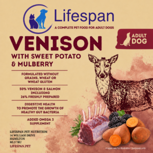 venison with sweet potato and mulberry