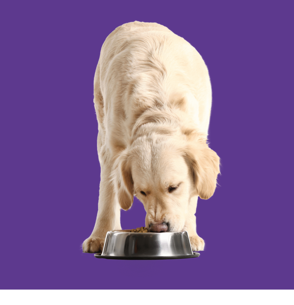 gastrointestinal & digestive care