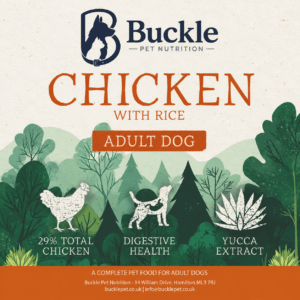 Chicken with Rice