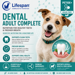 dental care