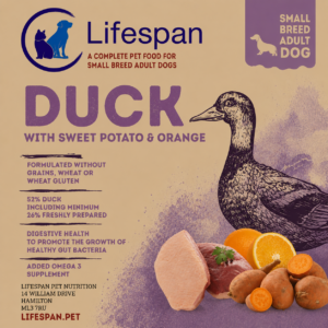 duck with sweet potato & orange