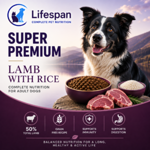 large breed chicken with rice