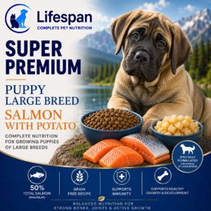 large breed chicken with rice