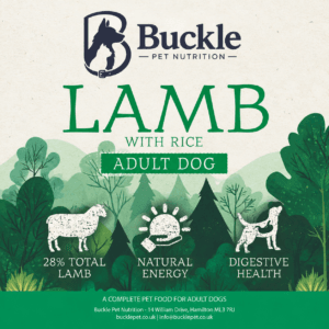 Lamb with Rice