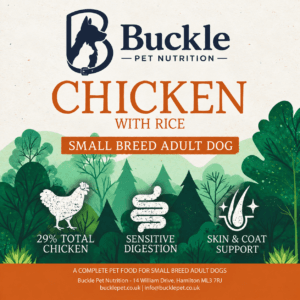 sp small chicken with rice