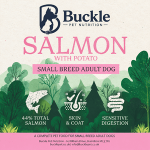 Small Breed Salmon with Potato