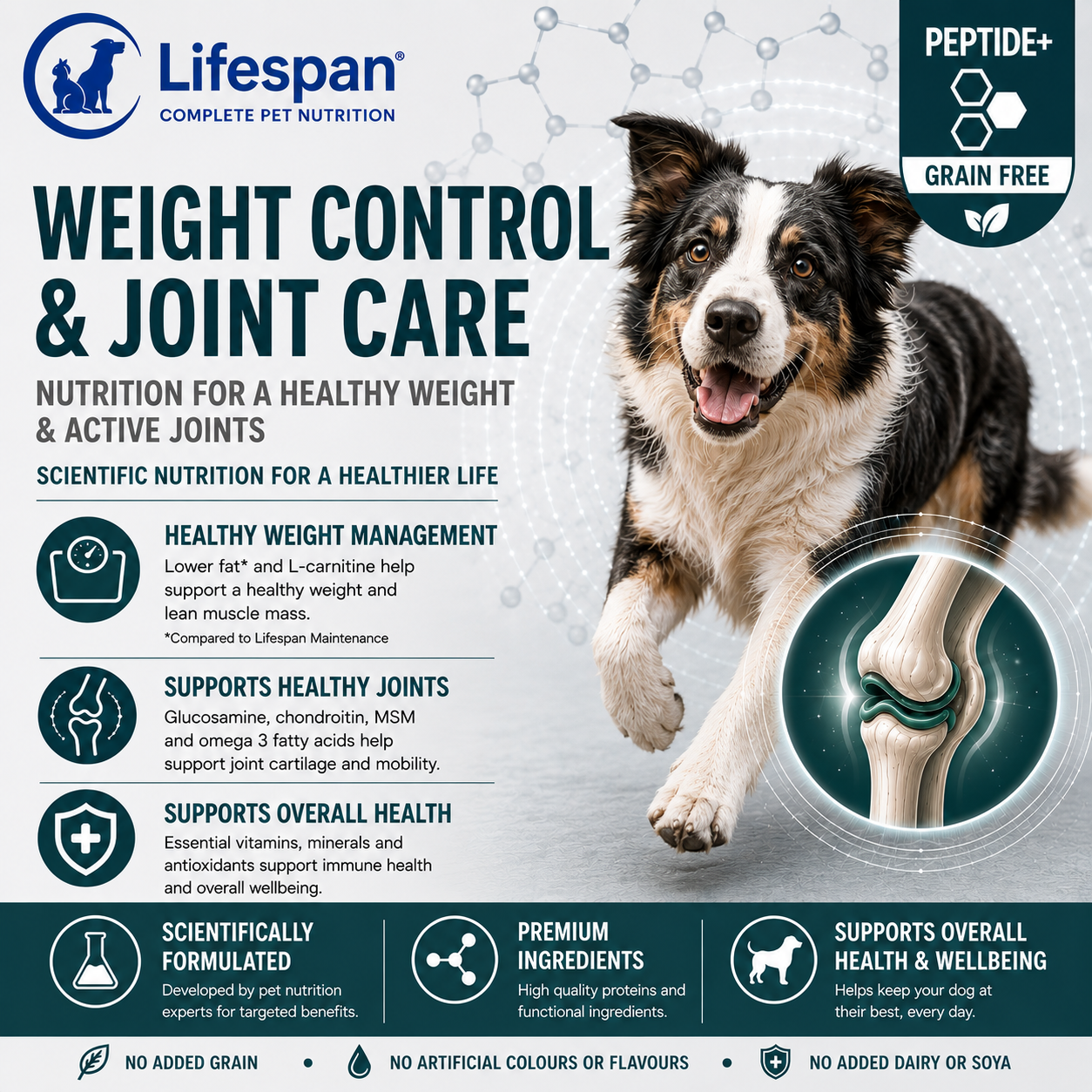weight control &n joint care weight control &n joint care