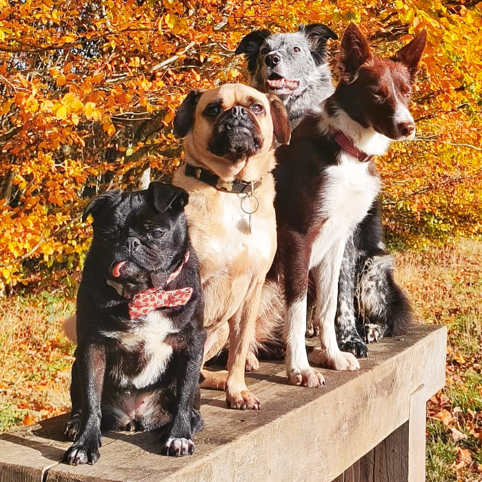 bench1
