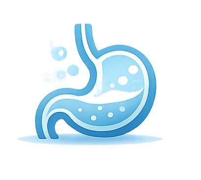 digestion