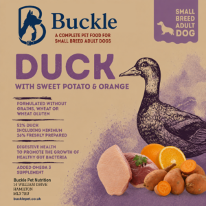 buckle gf small duck