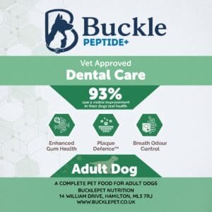 buckle peptide dental care
