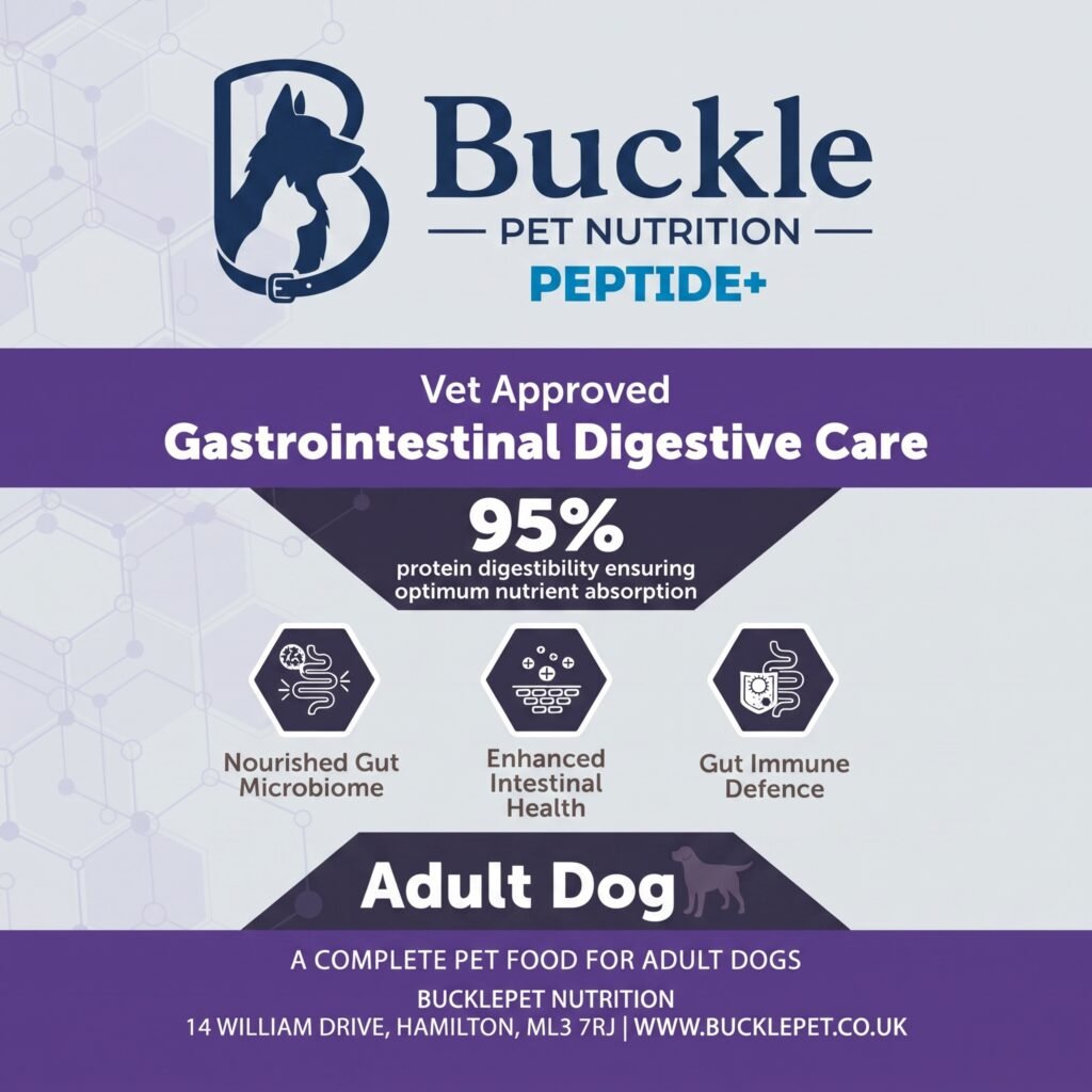buckle peptide gastrointestinal