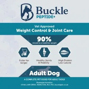 buckle peptide weight and joint