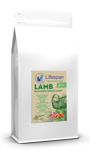 lamb with sweet potato and mint